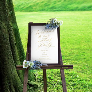 30|Cgő10{OtBbN EFJ{[hitW[m }bgzCgj Mtg j I EFfBO EFJXy[X