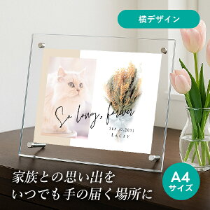 ybg ʔv tHgA{[h(Vhu[P ~U) A4TCY(ybg ʔv ʐ^ O N LO ` AObY ybg{ ybgd ~  񂿂 L  n