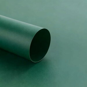 �y�S20�F�z�B�e�p �w�i�z 60×90cm �B�e�u�[�X PVC�J���[�X�N���[�� ���i �w�i�� �B�e �X�N���[�� �o�b�N �V�[�g ���B�� ������ �������Ɩ� �y�S20�F�z�B�e�p �t�H�g �t�H�g�X�^�W�I �X�^�W�I ��
