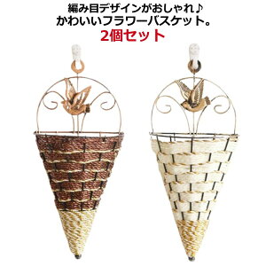   Ǌ| t[x[X Ԋ 2Zbg nMOoXPbg  t[oXPbg oXPbg  t[ JS ݂艺  CeA 킢 ԕr