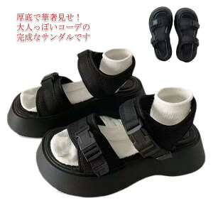 X|[cT_ fB[X Y  tbgT_ }WbNe[v ₷ y y ₷ AEghA C V TCY 傫TCY jp jZbNX X|