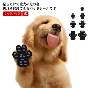  4 ی PA pbg ȂC C tbgpbh یV[ hbO_X ybgpC ybgpC ~ ]|h~ t[O V ^^^ 