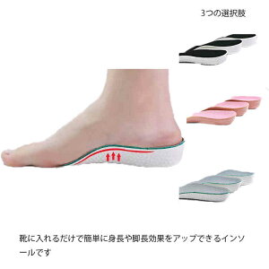  2_Zbg NbV C\[ d Ռz V[NbgC\[ fB[X Y  Xj[J[  n[tTCY ᔽNbV jp ~ gA