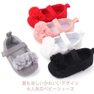 Iׂ5F xr[ V[Y xr[V[Y ʋC  t H  ~ ɂ t@[XgV[Y ̎q Ԃ V C  ݑ  oYj _炩 a