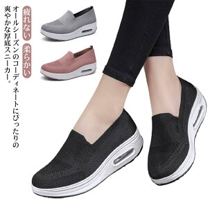 i[XV[Y  V[Y [NV[Y C    5cm ₷ y L d NbVu₩ NbV bV ؂ Ȃ ₷ _炩 