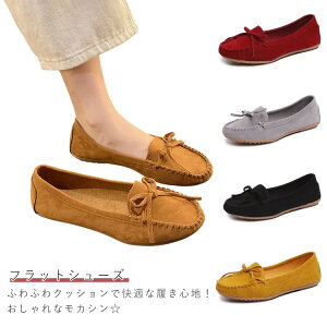 [t@[ pvX {Rt ₷ tFCN[g tbgV[Y fB[X JWAV[Y fC[ s ~ Xb| ʋ ʊw {Rt o