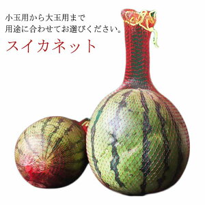 ݂艺XCJlbg 100 pr [vtbVlbg XCJlbg XCJ̖ Ԃ牺nbN t[clbgobO K[fp XCJ ʗp/ʗp