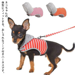 Ln[lX t[ht Lbgn[lX ˂  [ht lR [ht Lpn[lX n[lX n[lX  LEGA LbgEGA xXg L