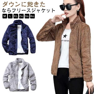 VM[{A H~ V[g Y WPbg t[X t@[ {At[X V[g t@Xi[ [EFA g  [EFA  傫TCY u]