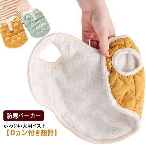 ȃxXg N  `bL hp[J[ DJt m WPbg d˒ hbOEFA ybg~ g H~ LeBOxXg