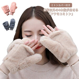   ~g h wF 4{wo  X}z fB[X wȂ h g 킢 ~gJo[t w ʋ ʊw AEghA ]  H~