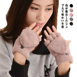  h H~  ~g g wF fB[X X}z wȂ h AEghA 5{wo  w ʋ ʊw 킢 ]  ~gJo[t