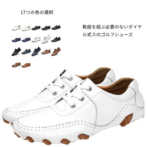 StV[Y Y St Xj[J[ p St V[Y C y y v XpCNXV[Y StC 傫TCY 3E L _C K rWlX^ u[c  