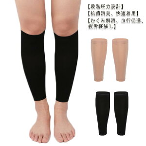 Y iK \bNX rT|[^[ ӂ͂T|[^[ Ö{\h T|[^[  r fB[X ނ݉ ӂ͂T|[g  X|[cT|[^[ p 