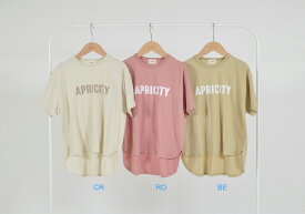 【セール　アンディ二ー　undeny.】APRICITY ビッグTシャツ (M/110-120)【700401】