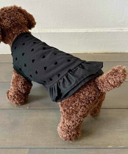 PICCIN PERLAn[gtbL[hbOEFA hbOEFA ̕ n[g tbL[ hbg yv Xgb` E₷ JCC    ₷ 