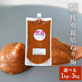 ＼塩だけで漬けた梅チューブ 竹内農園 特別栽培 ねり梅 1kg 選べる 練り梅 チューブ 練り梅 保存料 無添加 南高梅干し 和歌山産 業務用 塩だけ 南高梅 南高梅 梅干100% 梅 ペースト 梅 潰した梅干 梅肉 梅にく 練梅 塩だけ 塩分濃度 18％ 塩分15以上 国産 塩分補給 梅干し