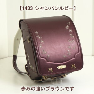 2026  hZ s nbJLbY HAKKA KIDS vYt[{ 0113-2404 t XSy y y 1270g hZ ̎q w w 2025 2026 eʁ12cm}` A4tbgt@C