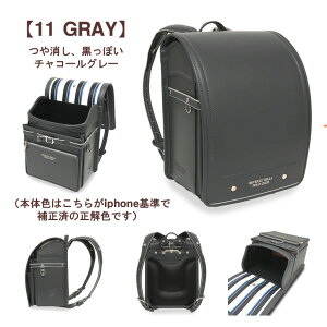 2026 |[hZ s BEVERLY HILLS POLO CLUB hZ BHC-0001 BIGŌy X|[eBŃgbh twTt hZ 2025 j̎q XSy1100g eʁ13.5cm}` 4ʔˍ { 6N