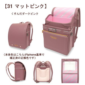 2026 |[hZ s BEVERLY HILLS POLO CLUB hZ BHC-0002 BIGŌy X|[eBŃ_twTt hZ 2025 ̎q XSy1130g eʁ12.5cm}` 3ʔˍ { 6NC