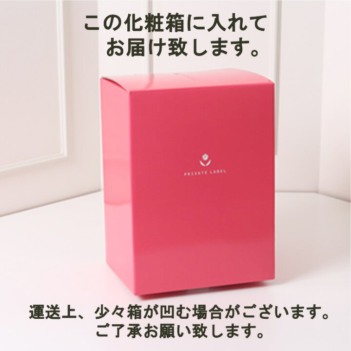 楽天市場】1色のみ1個在庫処分 《 プライベートレーベル Private 