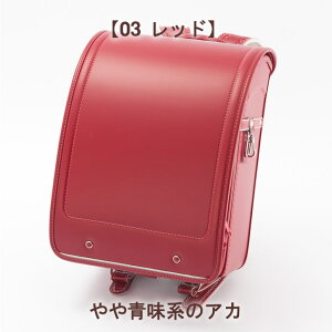 2026 [AhAC hZ ywTtIzhZ y XSy y 1100g   UAVvLYɋ K301L ^tbN i j̎q ̎q A4tbgFILEΉ M