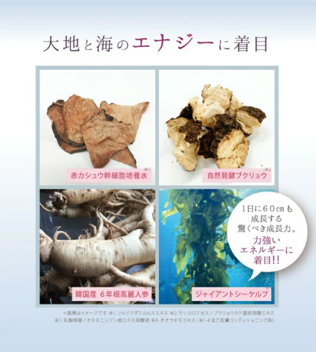 楽天市場】【10％OFFクーポン】サイムダン プレミアム ステム 