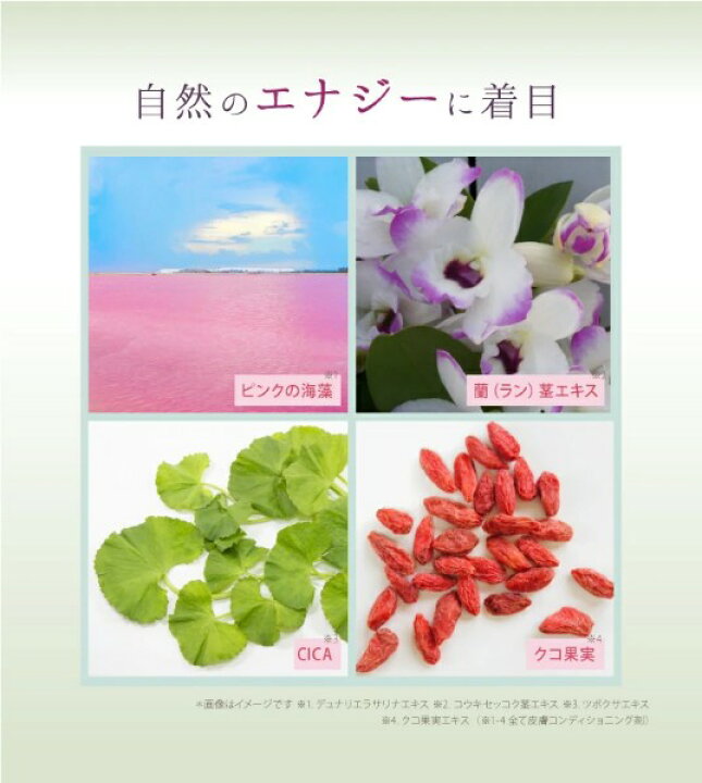 楽天市場】【10％OFFクーポン】サイムダン プレミアム ステム 