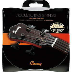 Ibanez ACoj[Y 4 AR[XeBbNEx[XpJ[{ER[eBO@IABS4XC