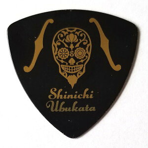 SCHECTER@sbN@`@^ / Nothing's Carved In Stone etc. SPA-UBU10 BK A[eBXgsbN