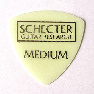 SCHECTER@sbN@~iX o[@gCAO@~