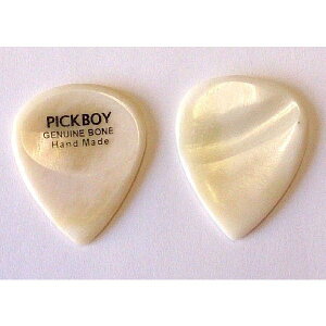 PICKBOY sbN {[ GP-BN/1