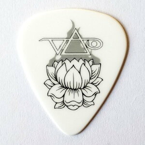 Jim Dunlop@M^[sbN@XeB[E@C 483C M01 STEVE VAI@A[eBXgsbN