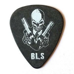 Jim Dunlop@M^[sbN@UbNCh@488C@ZAKK WYLDE@1.00@A[eBXgsbN