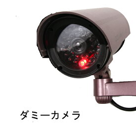 赤色LEDが常時点滅！作動しているように見せかける！CCDダミー防犯カメラ