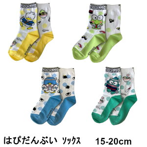 y_ł[֑200~z͂҂Ԃ TI \bNX 1 q 15-20cm K[Y\bNX Xj[J[\bNX { C Ђ̃ybN 낯낯 ^LV[hT n