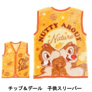 y[֑zq `bvf[ X[p[  TCY S 3ˁ`5˂炢 fBYj[ ~jX[p[ tlX[p[ X[p[ ₷݃xXg