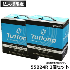 �y�@�l����z2�Z�b�g �G�i�W�[�E�B�Y ���Y�ԃo�b�e���[ �[�d����ԑΉ� (Tuflong STANDARD) STA55B24R �i�݊�: 46B24R 50B24R 55B24R �j