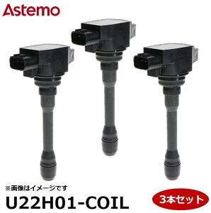 Astemo(�A�X�e��) �����ԕ�C���i �C�O�j�b�V�����R�C�� U22H01-COIL �y3�{�Z�b�g�z