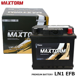 MAXTORM (�}�b�N�X�g�[��) GOLD-ISS MAX LN1-EFB �o�b�e���[ LN1