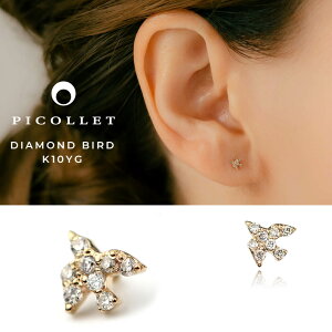 K10_Ch o[h`[t {fBsAXisAXjgKXEAE^[RNɃIXXA`[t picolletav[gEMtgAM[Ή 10CG[