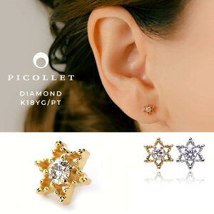 K18/PT _Ch Z䊐 {fBsAX  16G/14G CG[S[h/v`i ͗l X^[ VR_Ch