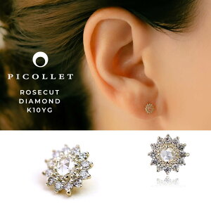 K10[YJbg_Ch sAXE{fBsAXB؂₩ȃt[`[tiԁjIVEWF[{fBsAX