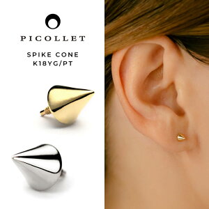 K18/Pt XpCNR[ {fBsAX  16G/14G K18CG[S[h v`i XpCNR[ sAX