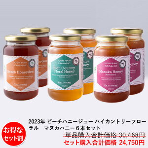 y36{Zbgzj[W[hAsureQuality I[KjbNF l߂ SM 2023 r[`nj[W[ ݂͂ x2{ nCJg[t[݂͂×2{ }kJ