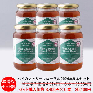 y6{Zbgzj[W[h AsureQualityI[KjbNF l߂ĊSM nCJg[t[݂͂2024 500g 6{Zbg