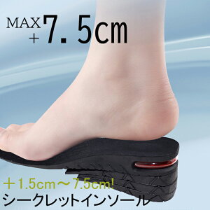 V[NbgC\[ 22.5cm`27.0cm fB[X Y ő7.5cm 4iK j  V[Nbg \  u[c Xj[J[ r r  グ  ~ GA[