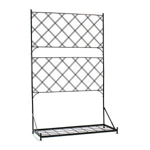 y|Cg7{I30z  v^[ttFX [^Cv Argyle A[KC g RpNg ډB   x_  KN | O  K[f  X`[