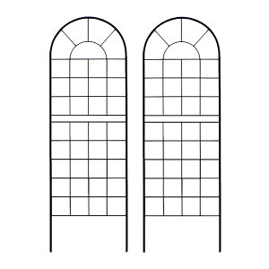   NVbNtFX150 [^Cv 2g _ mg[ ʋC ̌ ϋv K[fjO k i`  KN AeB[N i
