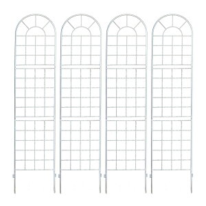   NVbNtFX220 nC^Cv 4g _ mg[ ʋC ̌ ϋv K[fjO k i`  KN AeB[N i